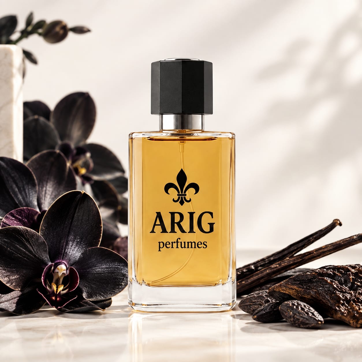 بلاك أوركيد | BLACK ORCHID